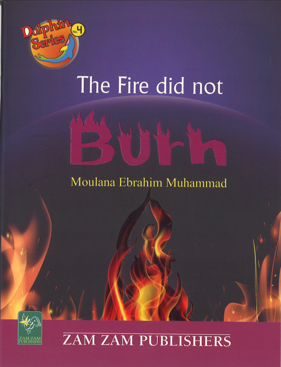 The Fire did not Burn (Dolphin Series No.4)