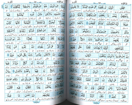 Maani Al Quran Al Kareem Urdu Lafz ba lafz - Word to Word