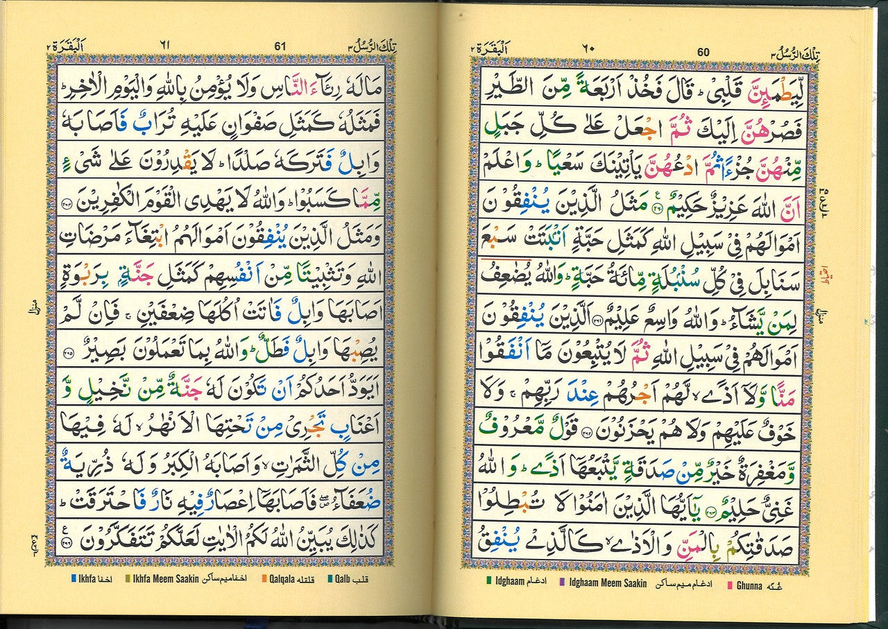 Holy Qur'an (Color Coded Tajweed) Majeedi Script 13 Line 5.5 x 8 Med Size