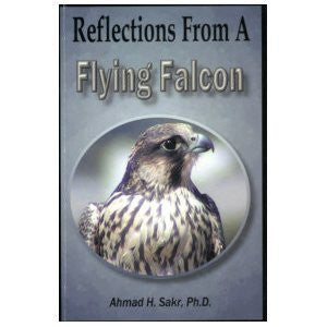 Reflections from a Flying Falcon