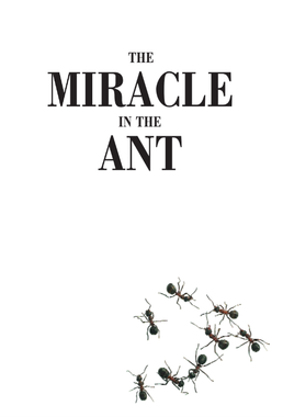 The Miracle in the Ant (E-Book)