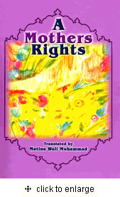 Mothers Rights and Other Tales [PB]