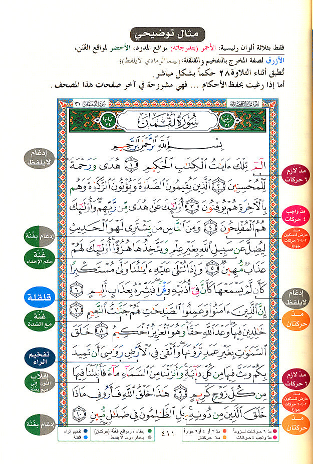 Tajweed Quran - Ibn Amer Narration  (7"x10")