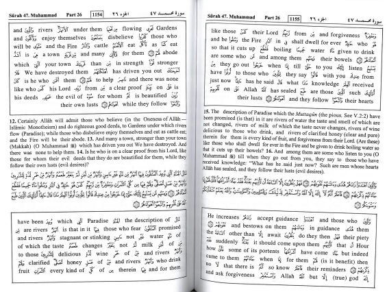 Study the Noble Quran Word-for-Word (Vol 3 only)